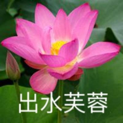 育龙高手小米版下载